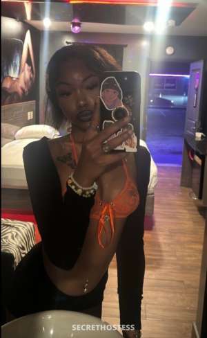 petite bae 23 year old Escort in Albuquerque NM