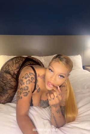 Bunny 27Yrs Old Escort Evansville IN Image - 4