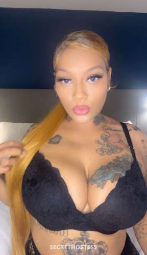 Bunny 27Yrs Old Escort Evansville IN Image - 5