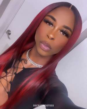 TS Kaior Escort model 0 year old Escort in Phoenix AZ