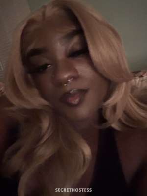 Take a trip to MoTown 22 year old Escort in Ocala FL