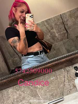New😍 discreet and ready to meet available now💦💦 one 25 year old Escort in Bowling Green KY