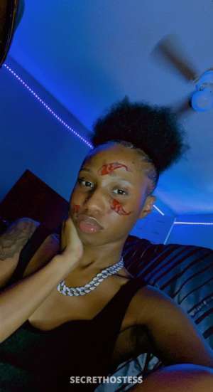 🥰✨💦💅🏾guaranteed nut and satisfaction only 24 year old Escort in Hattiesburg MS