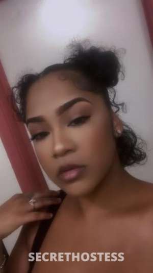 Terra 28Yrs Old Escort Houston TX Image - 5