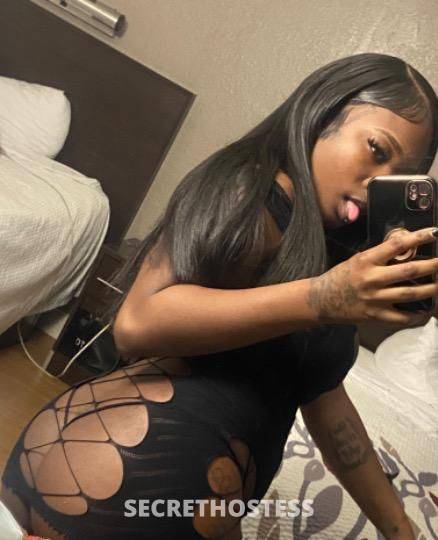 20Yrs Old Escort North Bay CA Image - 4