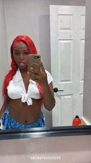 qv incall special 22 year old Escort in Long Beach CA