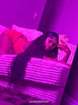 21 year old American Escort in Montgomery AL New Girl World Your Favorite Call Girl NEW Here in Town 
