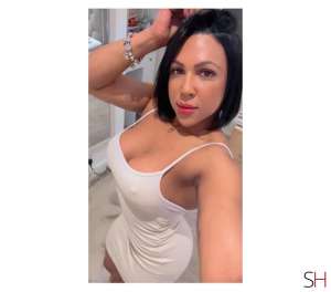 25 year old Brazilian Escort in Australia ✅DANNY BRAZILIAN .. BACK IN TOWN ., Independent