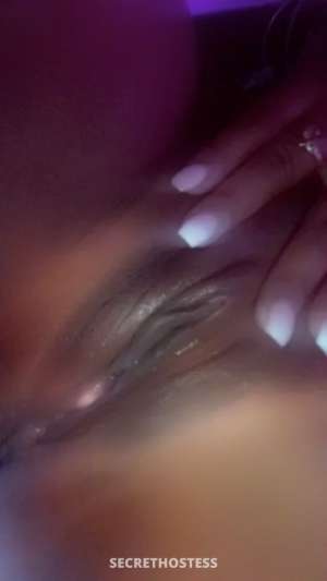 Aaliyah 27Yrs Old Escort Gainesville FL Image - 0
