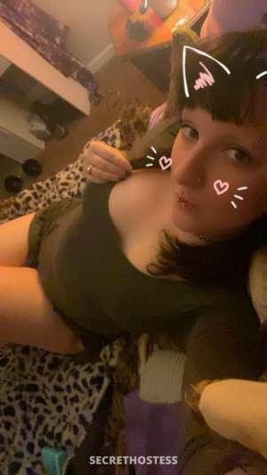 Bambi 22Yrs Old Escort Louisville KY Image - 6