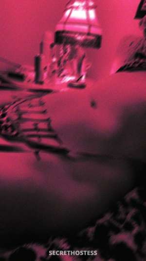 Bambi 22Yrs Old Escort Louisville KY Image - 9