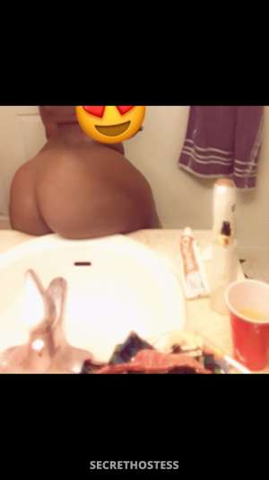 35 year old Escort in West Palm Beach FL BBJ AND QV incall cardates OUTCALL,NO games or bullshit you 