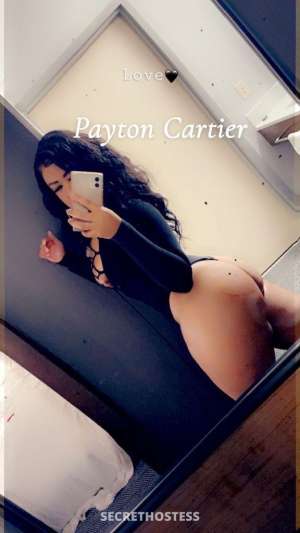 Payton 26Yrs Old Escort Buffalo NY Image - 4