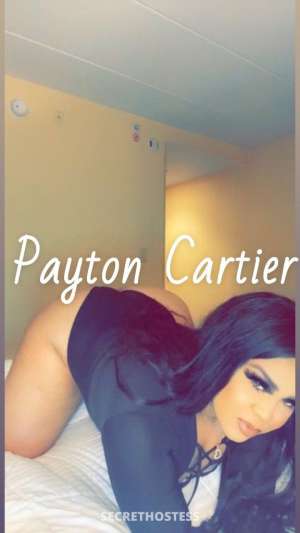 Payton 26Yrs Old Escort Buffalo NY Image - 10