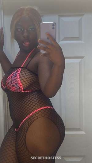 thunder 22Yrs Old Escort Clarksville TN Image - 8