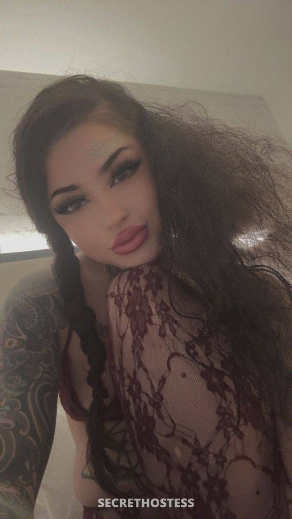 22Yrs Old Escort Northern Virginia DC Image - 4