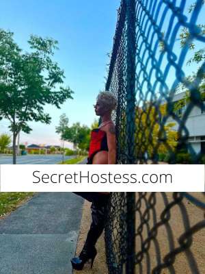 23Yrs Old Escort Melbourne Image - 13