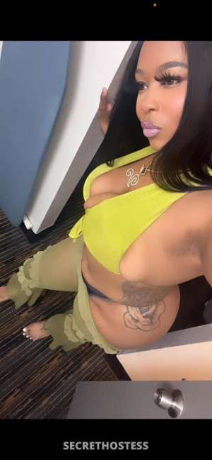 vallejo cardates and ft shows only 23 year old Escort in North Bay CA