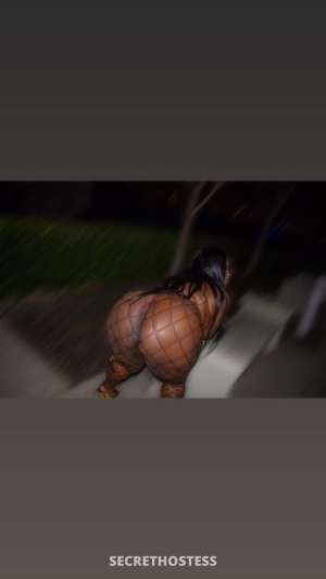 Saturday session incall outcall your treat 24 year old Escort in San Fernando Valley CA