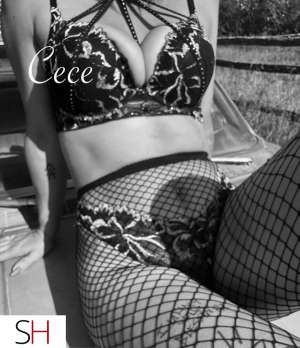 26 year old Caucasian Escort in Red Deer 
