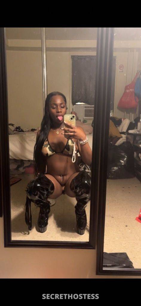 Venus 20Yrs Old Escort Grand Forks ND Image - 0