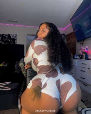 Des 25Yrs Old Escort Prince Albert Image - 2