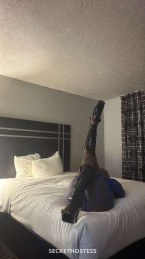 Beautiful Ebony Here BACK IN BOWLING GREEN ! DID U MISS ME 29 year old Escort in Bowling Green KY