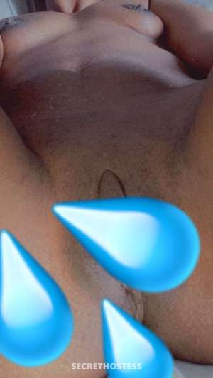 Diana 26Yrs Old Escort Chicago IL Image - 5