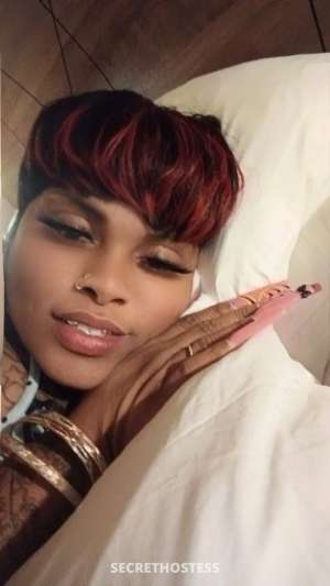 Missswallowyokids 34Yrs Old Escort Charleston SC Image - 6