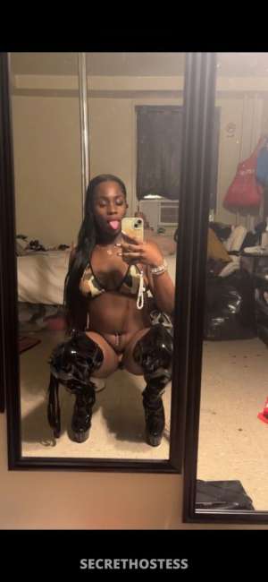 Lemme make your day 20 year old Escort in Grand Forks ND