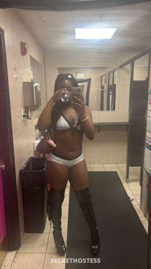 Venus 20Yrs Old Escort Grand Forks ND Image - 1