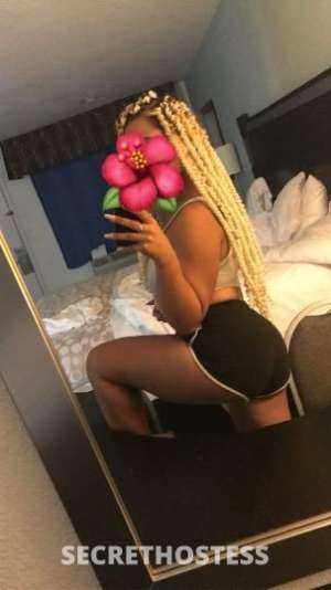 Cassidy 28Yrs Old Escort Jacksonville FL Image - 1
