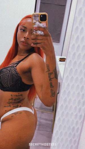 27 year old Escort in Tampa FL AM SPECIAL$✌🏾💦🥵 incalls - outcalls $$$$ (deposit/