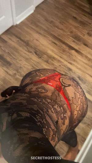 27Yrs Old Escort Image - 0