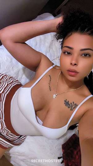 Pheonix 25Yrs Old Escort Brockton MA Image - 6