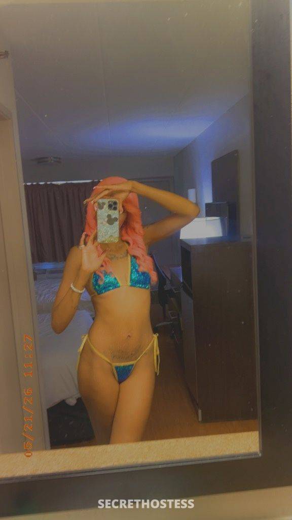 25Yrs Old Escort Ann Arbor MI Image - 4