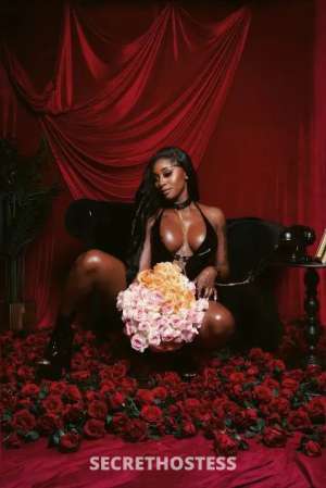 The Chocolate Barbie 25 year old Escort in New Jersey NJ