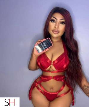 Incall hurontario and derry lets play up all night 23 year old Escort in Brampton