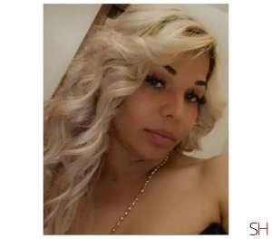 Selina 27Yrs Old Escort Wolverhampton Image - 3