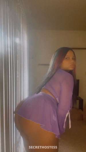 in town for a little 28 year old Escort in Concord CA