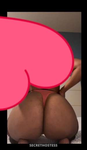 28Yrs Old Escort Sarasota FL 28 year old Escort in Sarasota FL