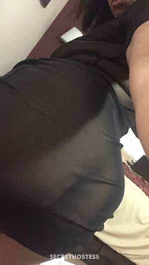 Mina 27Yrs Old Escort San Mateo CA Image - 1