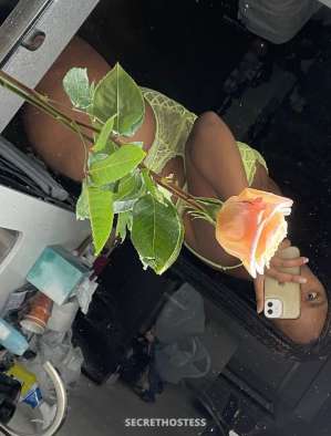21Yrs Old Escort Lafayette LA 21 year old Escort in Lafayette LA