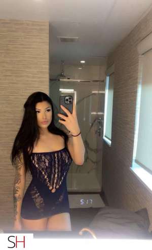 23Yrs Old Escort Hamilton Image - 8