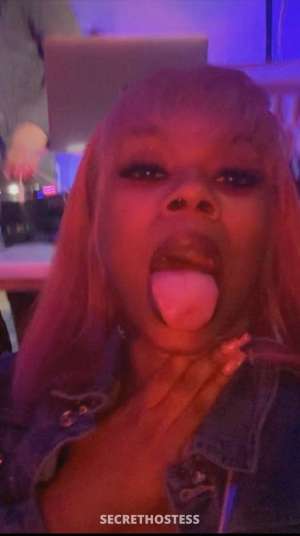 Jazz 25Yrs Old Escort Cincinnati OH Image - 7