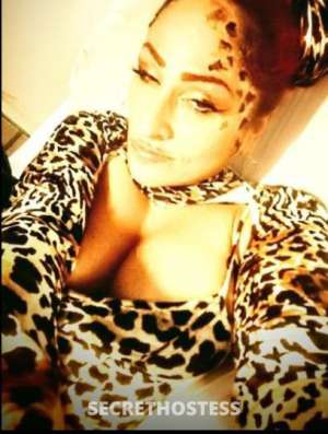 Shine 37Yrs Old Escort Gainesville FL Image - 1