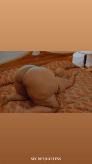 Outcalls available only text now 28 year old Escort in New Haven CT