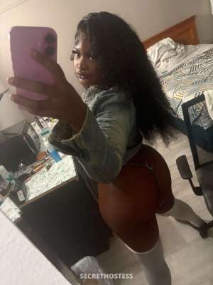 BIRTHDAY SPEACIALS 🎉ITS MY BDAY 😝I AM REAL HMU /FT & 20 year old Escort in El Paso TX