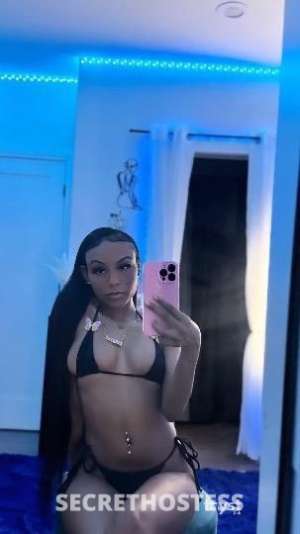 Chasity 24Yrs Old Escort Fargo ND Image - 4