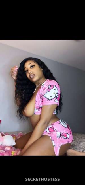 Kitty 25Yrs Old Escort Houston TX Image - 5